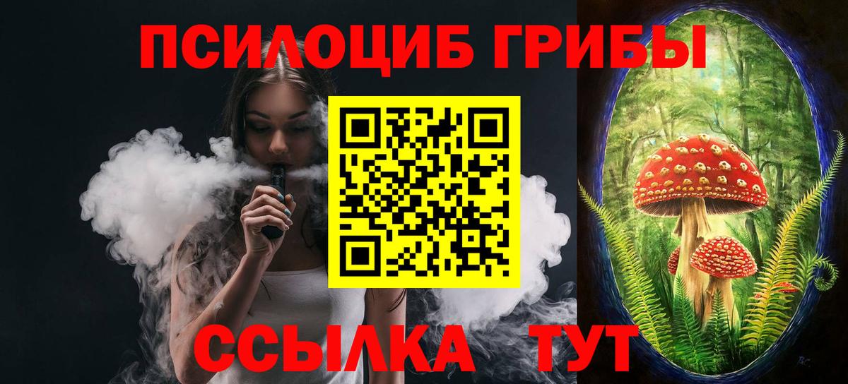 Псилоцибиновые грибы Psilocybine cubensis Энгельс