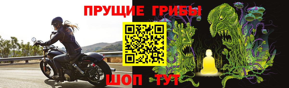 Энгельс  Галлюциногенные грибы Magic Shrooms  Вход с VPN 